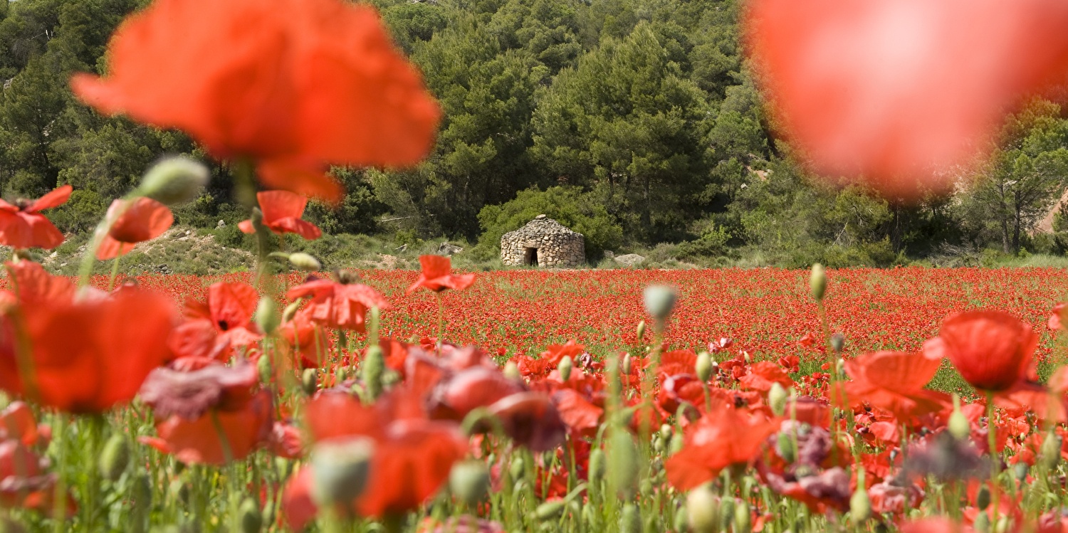 Er op uit in Catalonië