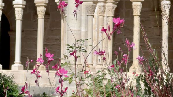 Poblet14__600x336.jpeg
