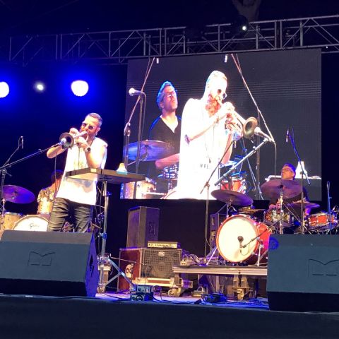 ViJazz%208__480x480.JPG