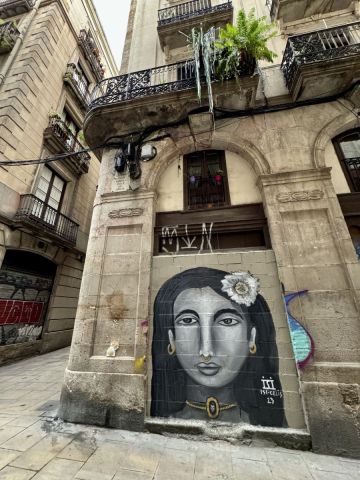 graffitibcn5__360x480.jpeg