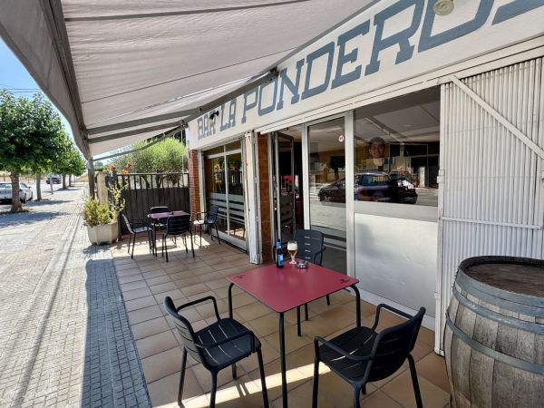 ponderosa%201__600x450.jpeg