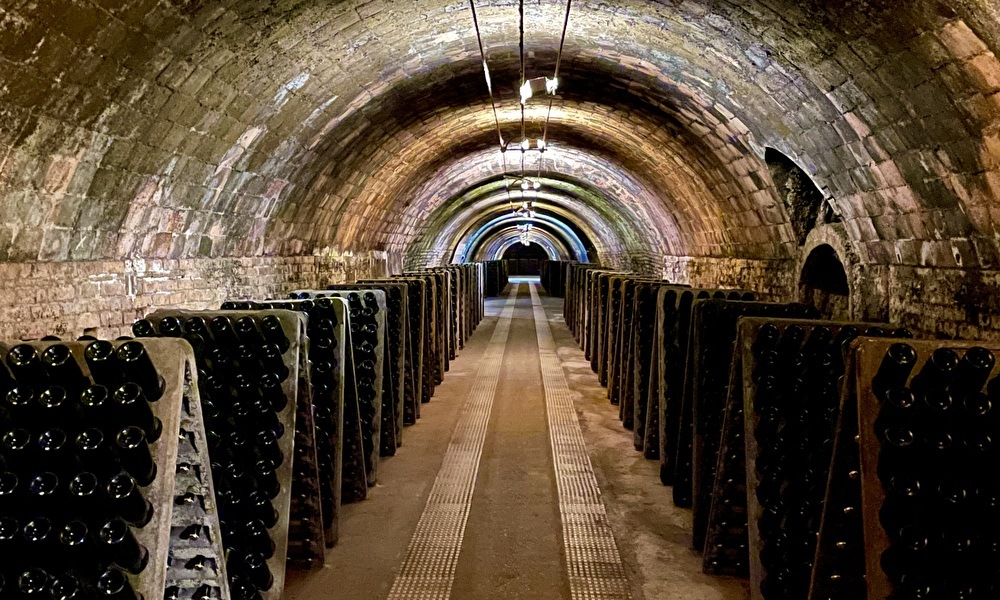 Codorniu