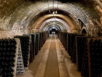 Codorniu