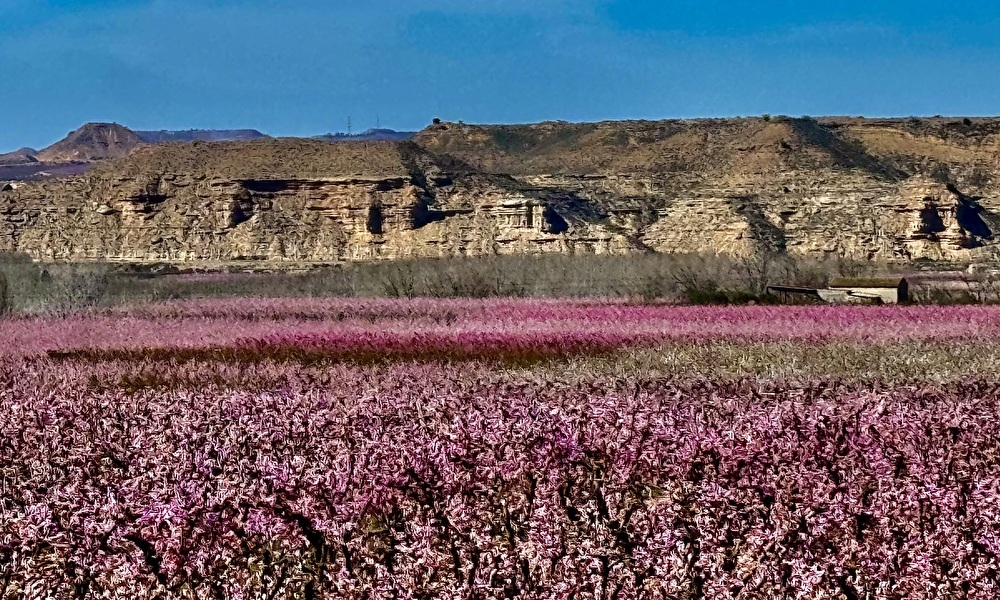 Springtime_in_Spain