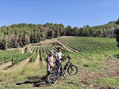 Fietstour_Penedes_Bikemotions