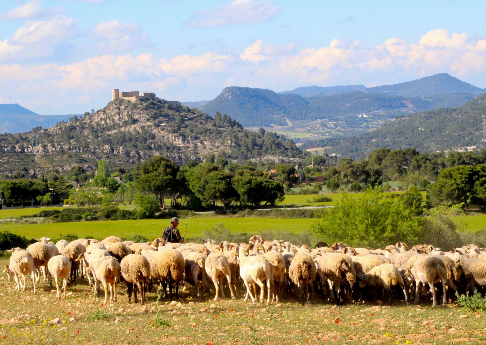 wandelvakantie catalonië